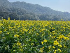 石门花海-广州市石门国家森林公园
