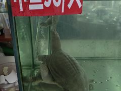 -深圳柯记餐厅(大望店)