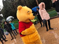 -巴黎迪士尼乐园
