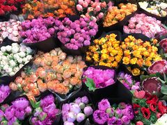 -双季花艺园艺市场(浦东店)