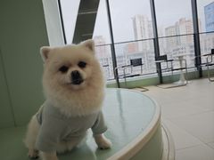 -怪兽屋·羊驼·猫咖·狗咖(俊华广场店)