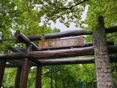 -杭州植物园