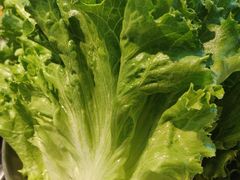 -农乐园炭火烤肉(繁花中心店)
