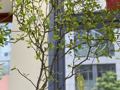 -山与蓝·轻糖鲜果蛋糕(勒泰店)
