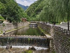 -牛背梁国家森林公园