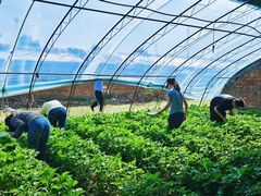 -拾光团建·拓展活动·旅游会议(东直门店)