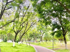 -桂溪生态公园