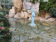 -南宫五洲植物乐园