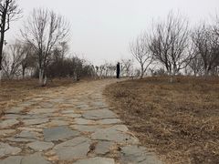 -西青郊野公园