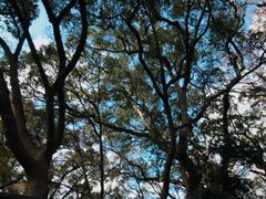 -普陀山风景名胜区-法雨禅寺