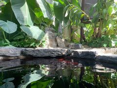 -中家鑫园温泉酒店鑫悦汤泉