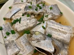 -金海湾海鲜排档(朱家尖店)