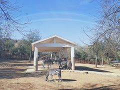 -石家庄市动物园