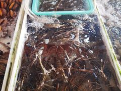 -南沙十九涌渔人码头-南门