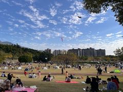 -牛岗山公园