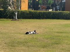 -柳州肥姨妈大骨螺蛳粉(万达中心店)