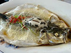 -黄鹤楼湖北特色菜(高碑店)