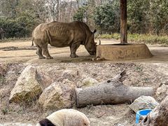 -宁波野生动物园