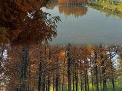 -白鹭湾湿地公园