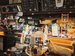 -杂咖zacup(领展中心城店)