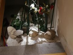 -善水温泉·汗蒸·SPA·生活会馆(桑田路店)