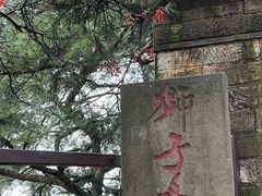 -缙云山景区