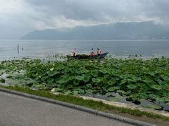 -大理洱海