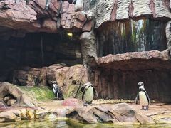 -长鹿旅游休博园