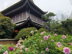 -龙华寺