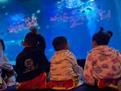 -全优加早教·托育(金沙御苑校区)