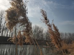 -东郊湿地公园