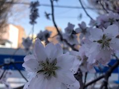 -乌鲁木齐市第二十三中学