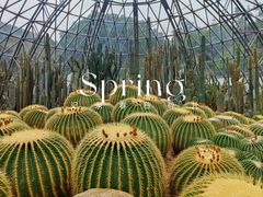 -深圳市中科院仙湖植物园