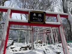 -宫城藏王狐狸村