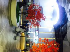 -星轶IMAX影城(桐乡吾悦广场旗舰店)
