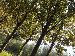 -蒲河岛湿地公园