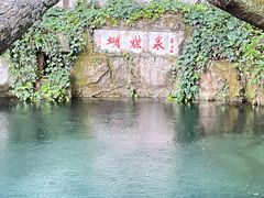 -蝴蝶泉公园