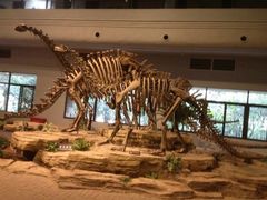-自贡恐龙博物馆
