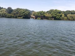 -西湖游船