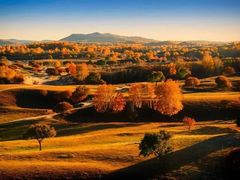 -塞罕坝国家级自然保护区