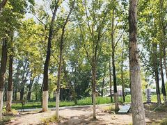 -野鸭湖国家湿地公园