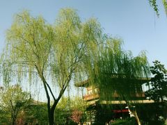 -西安青龙寺遗址景区