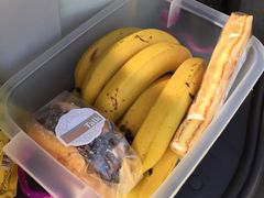 -新疆天山野生动物园