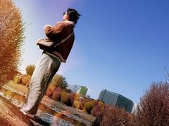 -春花秋色城市公园