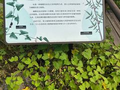 -宁波杭州湾国家湿地公园