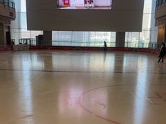 -冰纷万象滑冰场(二七万象城店)