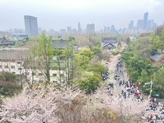 -南京城墙景区