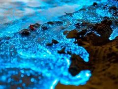 -珠海海泉湾度假区