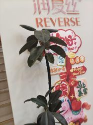 -润复丝·泽发防脱头皮管理