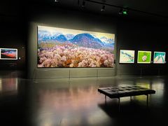 -罗红摄影艺术馆